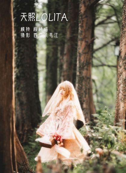 图片区小说区偷拍区_超清手机在线看